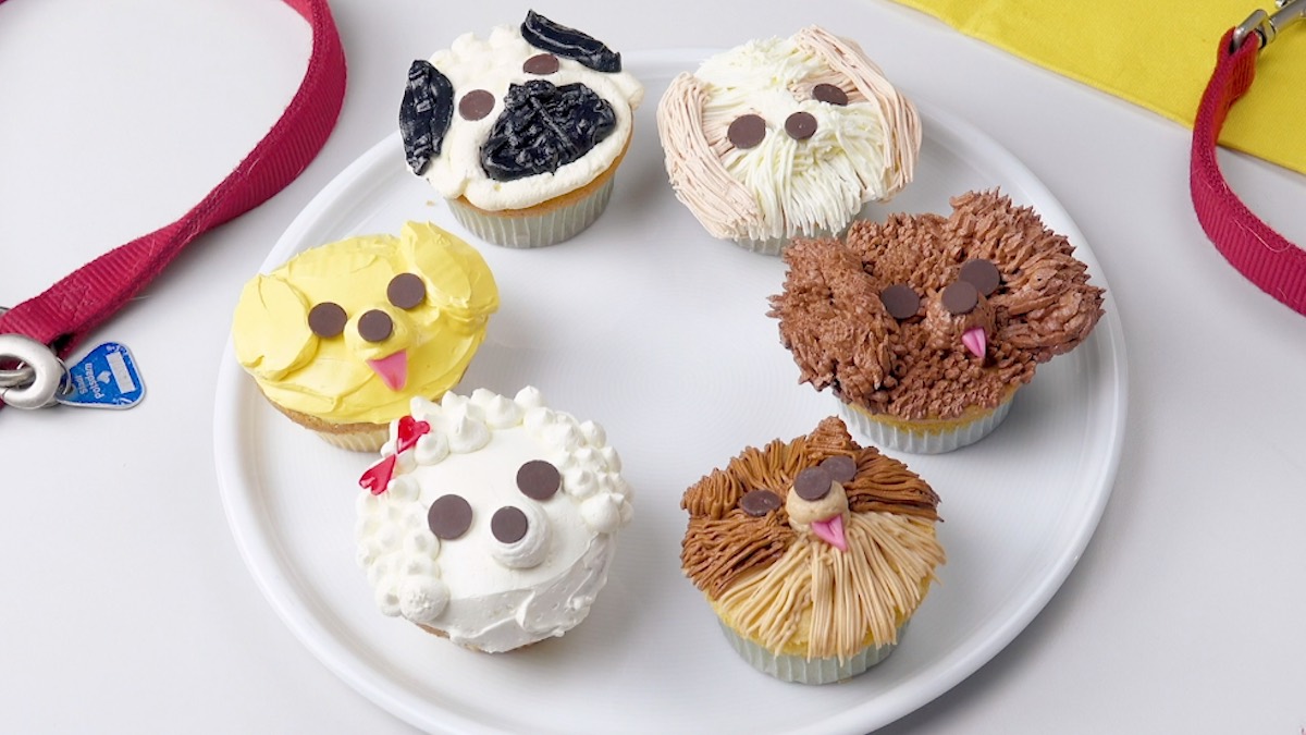 6 Cupcakes mit verschiedenen Hundegesichtern auf einem Teller.