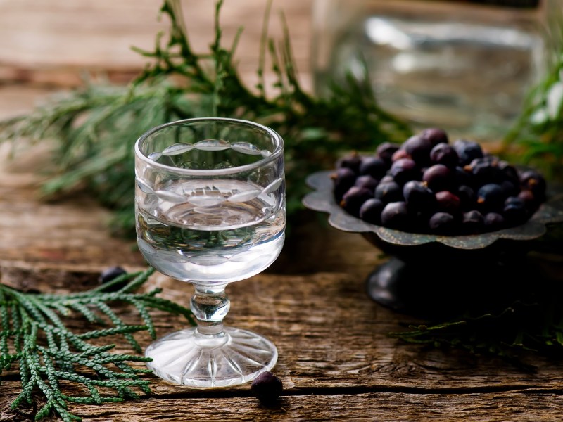 Selbst gemachter Gin in einem kleinen Glas, daneben eine Schale Wacholderbeeren