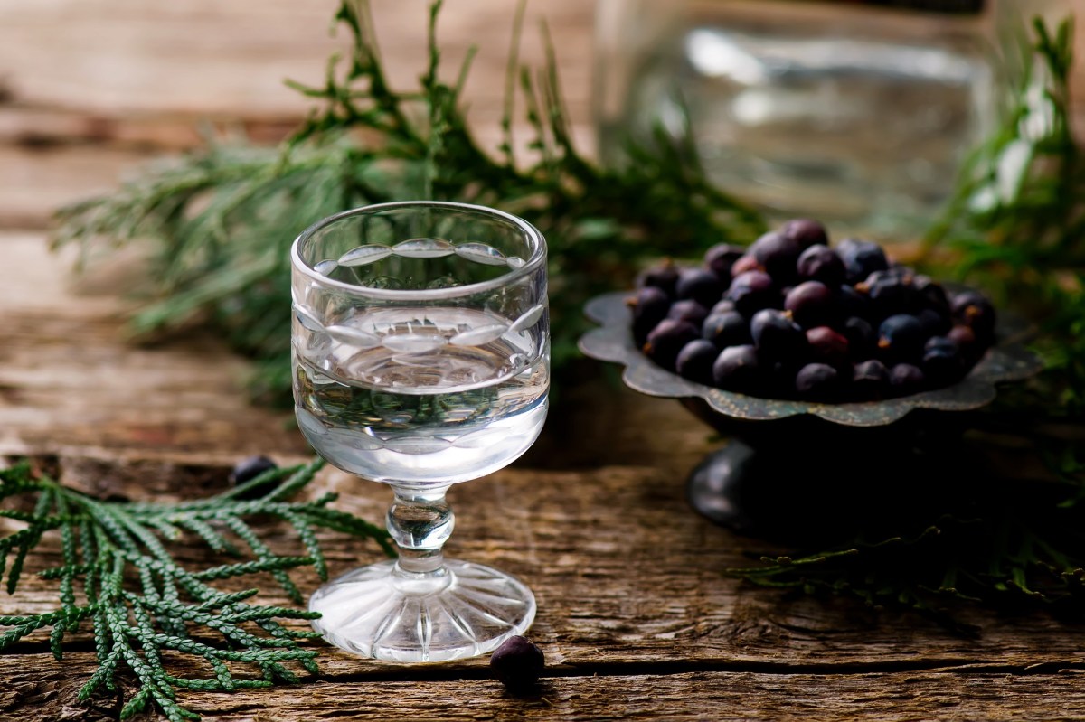 Selbst gemachter Gin in einem kleinen Glas, daneben eine Schale Wacholderbeeren