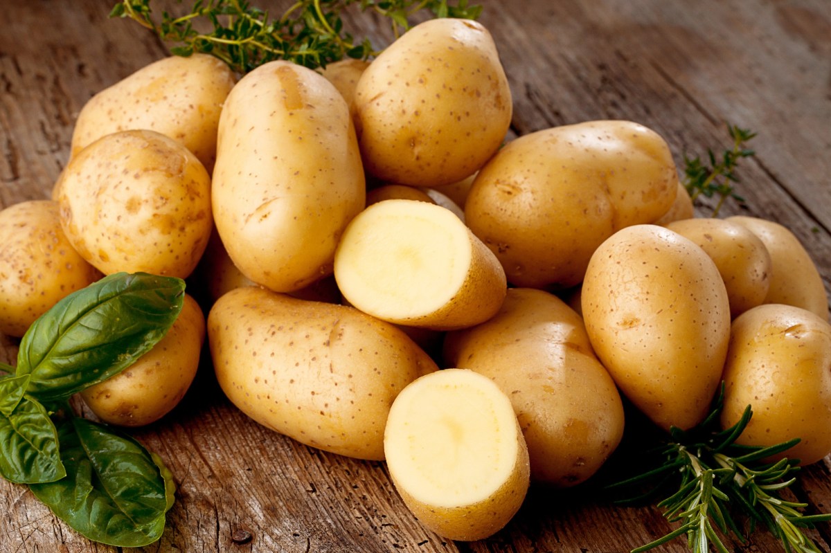 Festkochende Kartoffeln mit Schale, einige von ihnen angeschnitten, auf einem dunklen Holztisch. Dekoriert sind sie mit etwas Basilikum und Rosmarin.