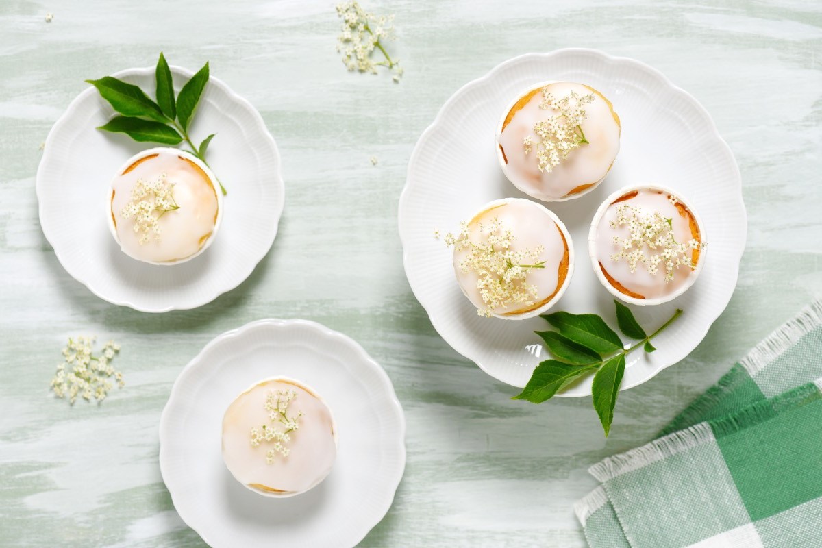 Holunderblüten-Cupcakes auf Tellern, in der Draufsicht.