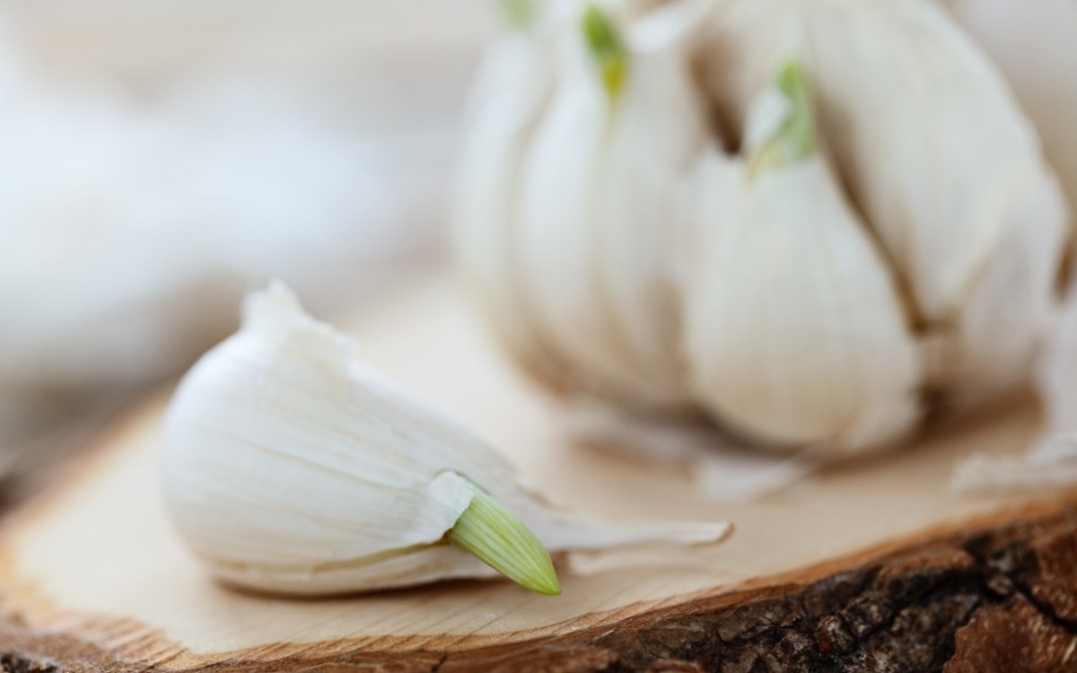 Keimender Knoblauch auf Holzbrett in Nahaufnahme.