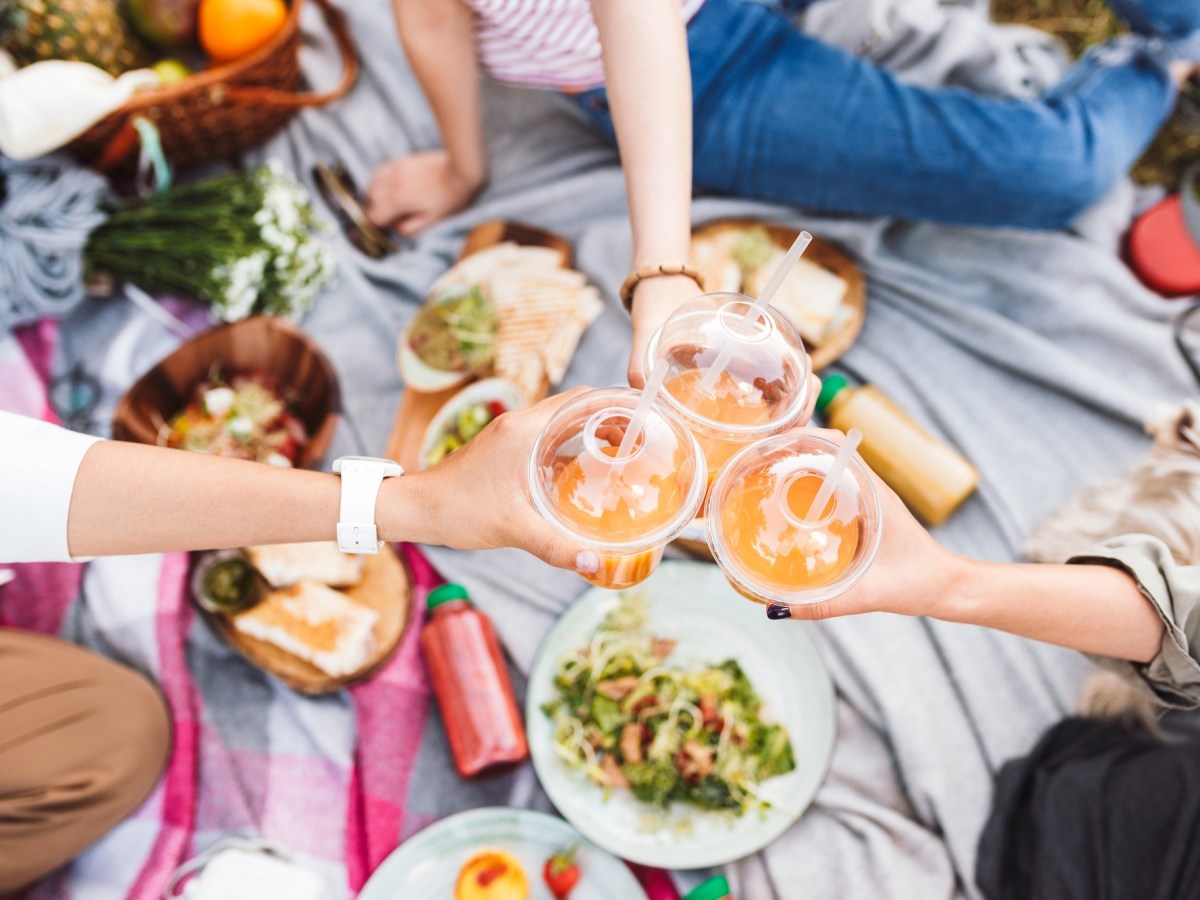 Picknick-Ideen: eine Picknickdecke, auf der 3 Menschen sitzen, die anstoßen, auf der Decke ein paar Speisen.