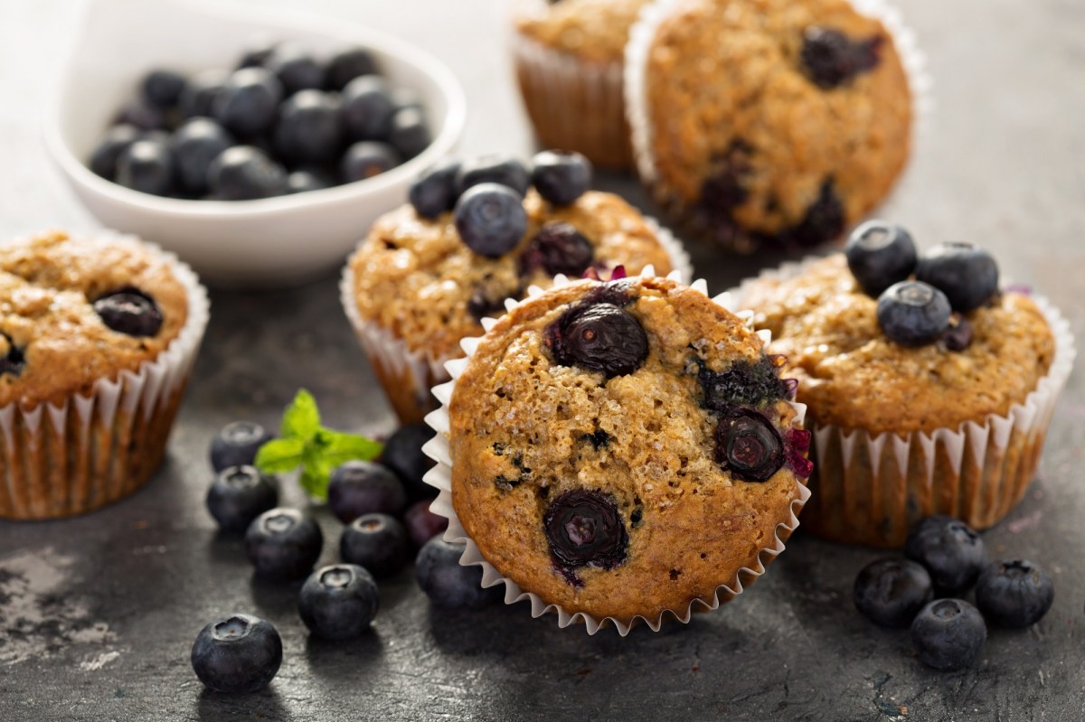 mehrere Blaubeermuffins mit Vanillepudding.