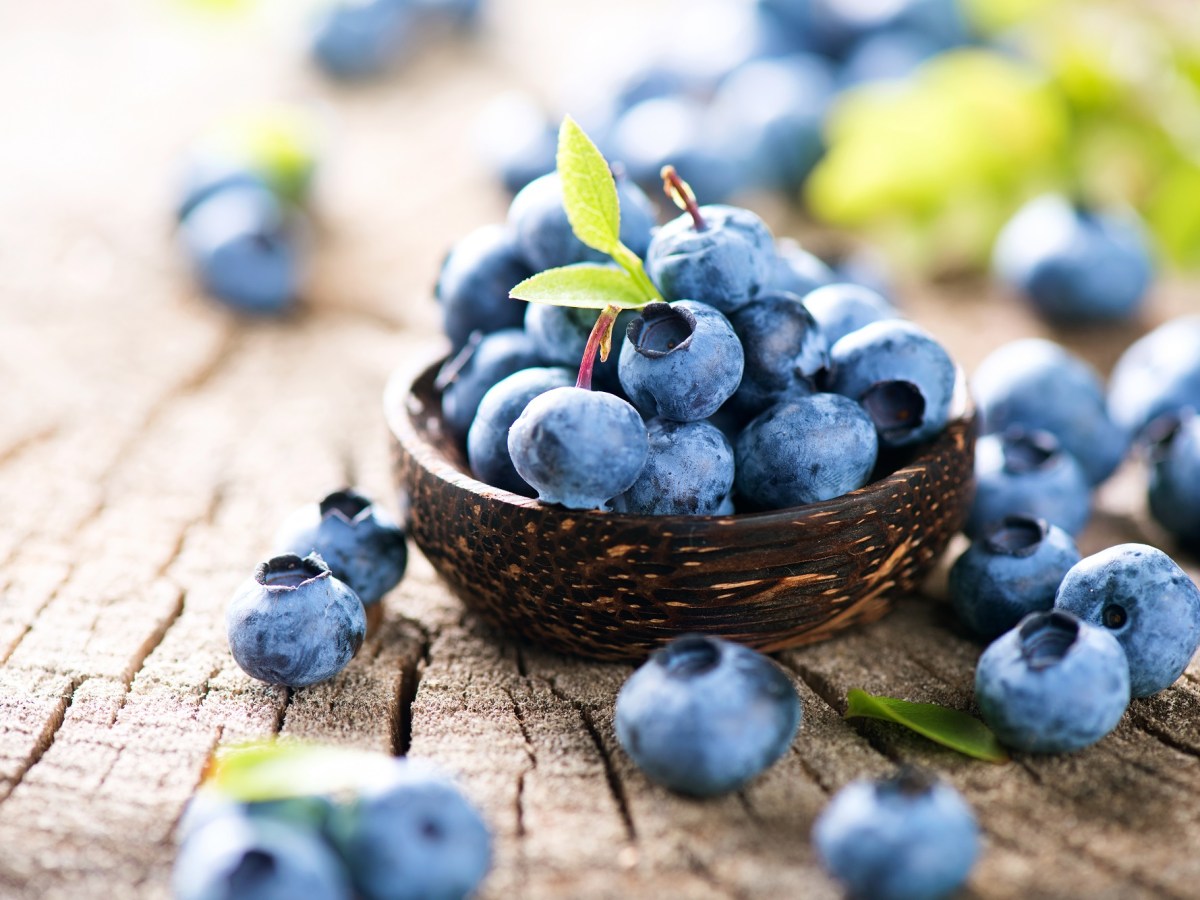 Gibt es einen Unterschied zwischen Blaubeeren und Heidelbeeren?